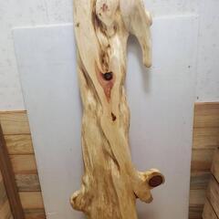 カイヅカイブキの画像