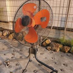 業務用 家電 季節 空調家電 扇風機