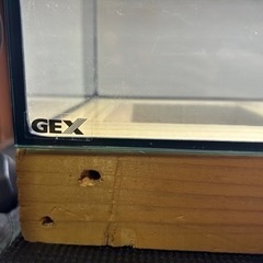 GEX 60cm 黒縁 オールガラス スリム水槽 自作木製水槽台付き❗️の画像
