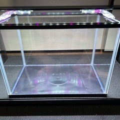 kotobuki 35cm 小型水槽