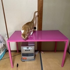 テーブル