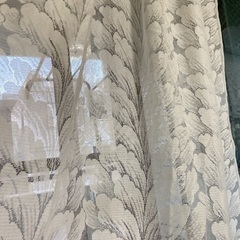 レースのカーテンの画像