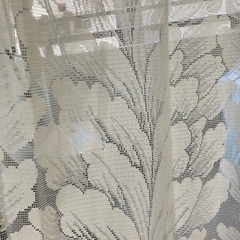 レースのカーテンの画像