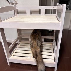 　数日限定！動物用　ペット用　2段ベッド