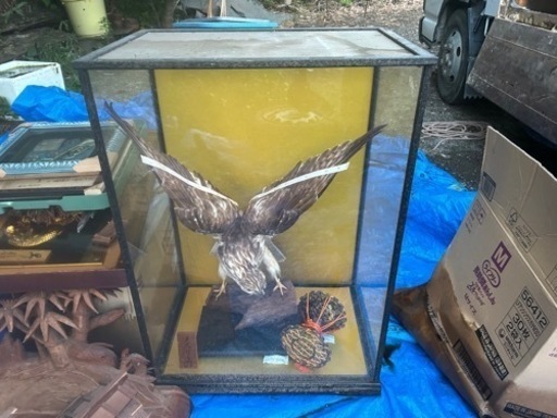 おもちゃ パズル