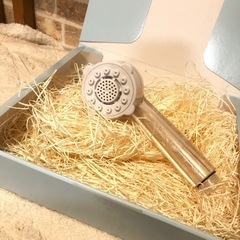 一旦停止　話中の画像