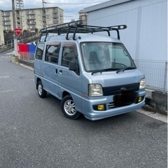 特価‼️元気バリバリサンバー‼️