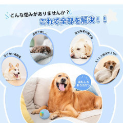 犬のおもちゃの画像