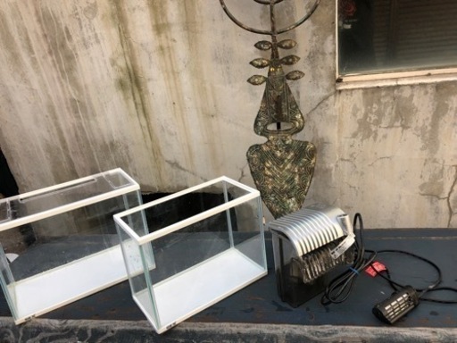 期間限定で値下げしました‼️1200mm水槽