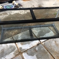 熱帯魚　水槽　　アロワナの画像