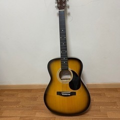 楽器 弦楽器、ギター