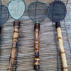 メダカタモ（網)の画像