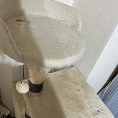 【使用感有】キャットタワーの画像