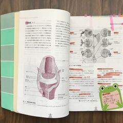 【値下げ！】医道の日本社　身体運動の機能解剖　改訂版(2020)の画像