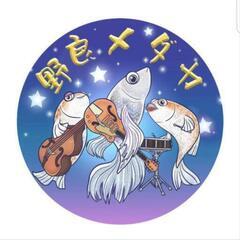 メダカ販売の画像