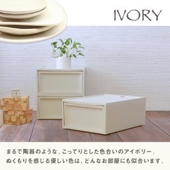 収納ケース 2個セット