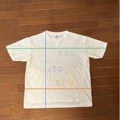未使用　ポケット付Tシャツ   ワークマン女子レディースドライサ...
