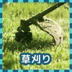 すぐ働ける！【11,440円～】室内清掃+草刈り【広島県東広島市...