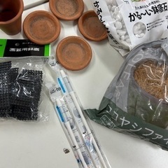 サスティー　M  L