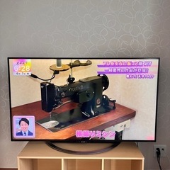 テレビ