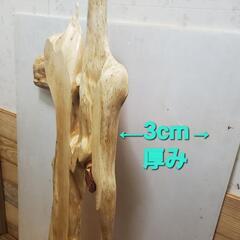 カイヅカイブキの画像