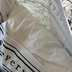 【お受け渡し予定あり】IKEA クッション2個セットの画像