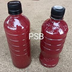 【開成町あじさい祭り】メダカ販売　6月8日・6月9日 - イベント