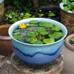 水瓶　甕　睡蓮鉢