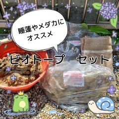 【カッコいいビオトープ作ってみませんか★総額3000円分】メダカ...