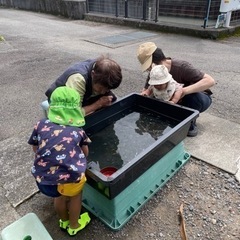 6月8日&9日　めだかすくい＆めだかくじ