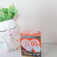 アイリスオーヤマ電球