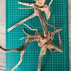 アクアリウムレイアウト用品流木　溶岩石
