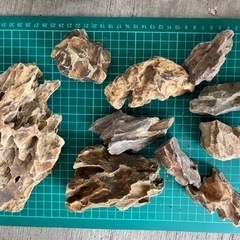 アクアリウムレイアウト用品流木　溶岩石
の画像