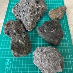 アクアリウムレイアウト用品流木　溶岩石
の画像