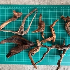 アクアリウムレイアウト用品流木　溶岩石
の画像