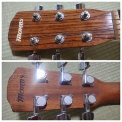 絶版 KING常田愛機モーリスFトップ単板 もう手に入らないの画像