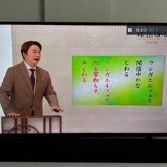 家電 テレビ 液晶テレビ