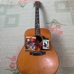 楽器 弦楽器、ギター