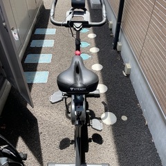 STEADY スピンバイク フィットネスバイク サイクリングマシ...