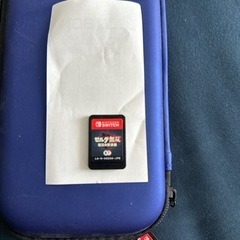 おもちゃ ポータブルゲーム ニンテンドーDS,3DSの画像