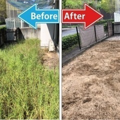 庭の草抜き