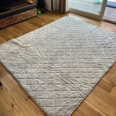 家具 カーペット/マット/ラグ　ニトリの画像