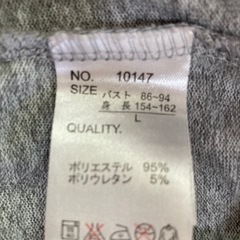 メンズTシャツの画像