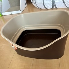 猫　トイレ