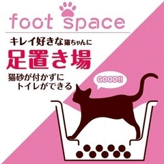猫　トイレの画像