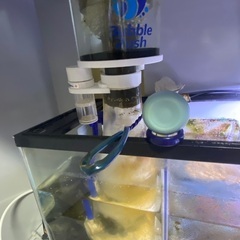 “Sale”熱帯魚水槽セット(30000)の画像