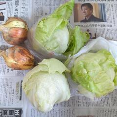 訳アリレタスと玉ねぎ