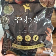 犬　ごはんの画像