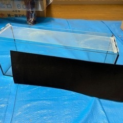 観賞魚用大型ガラス水槽の画像