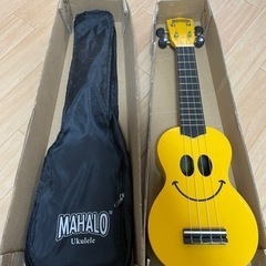 楽器 弦楽器、ギター